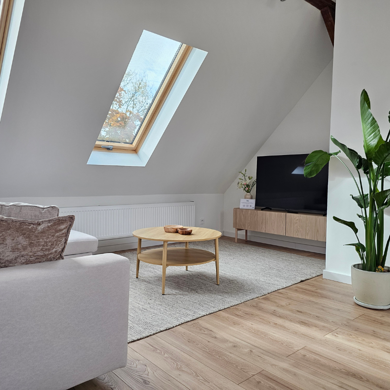 Gliwice Apartamenty Swan (4)